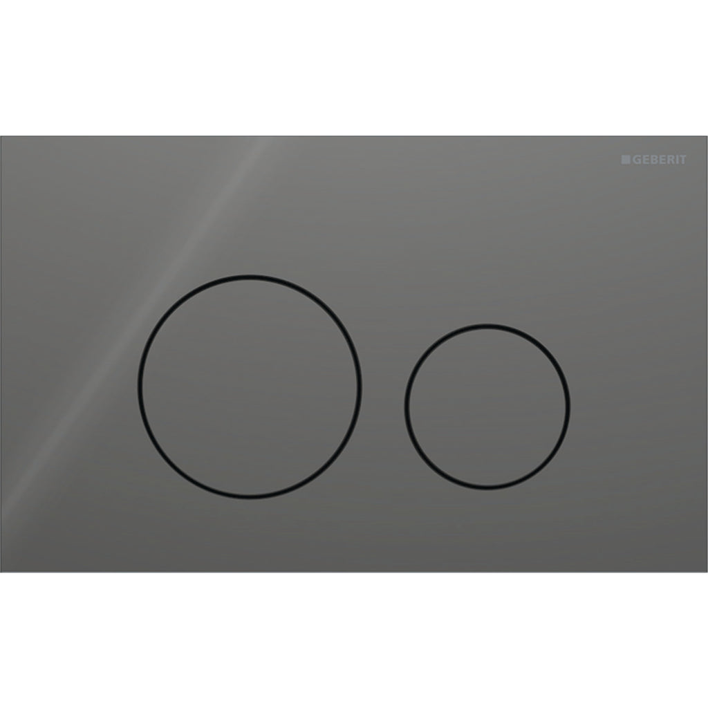 Geberit SIG40 ACT plate for dual flush round lava 115.628.JK.1