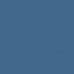 Bathex Blue Grab Rail 450mm x 35mm 21901