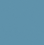 Bathex Blue Grab Rail 450mm x 35mm 21901
