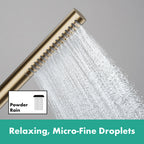 hansgrohe Pulsify S Baton Shower Handset 100 1 Spray EcoSmart, Brushed Bronze