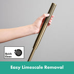 hansgrohe Pulsify S Baton Shower Handset 100 1 Spray EcoSmart, Brushed Bronze