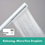 hansgrohe Pulsify S Baton Shower Handset 100 1 Spray EcoSmart, Matt White