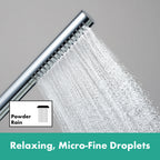 hansgrohe Pulsify S Baton Shower Handset 100 1 Spray EcoSmart+, Chrome