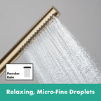 hansgrohe Pulsify S Baton Shower Handset 100 1 Spray EcoSmart+, Brushed Bronze
