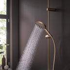 hansgrohe Raindance Select S Shower Handset 120 3 Spray PowderRain, Brushed Bronze