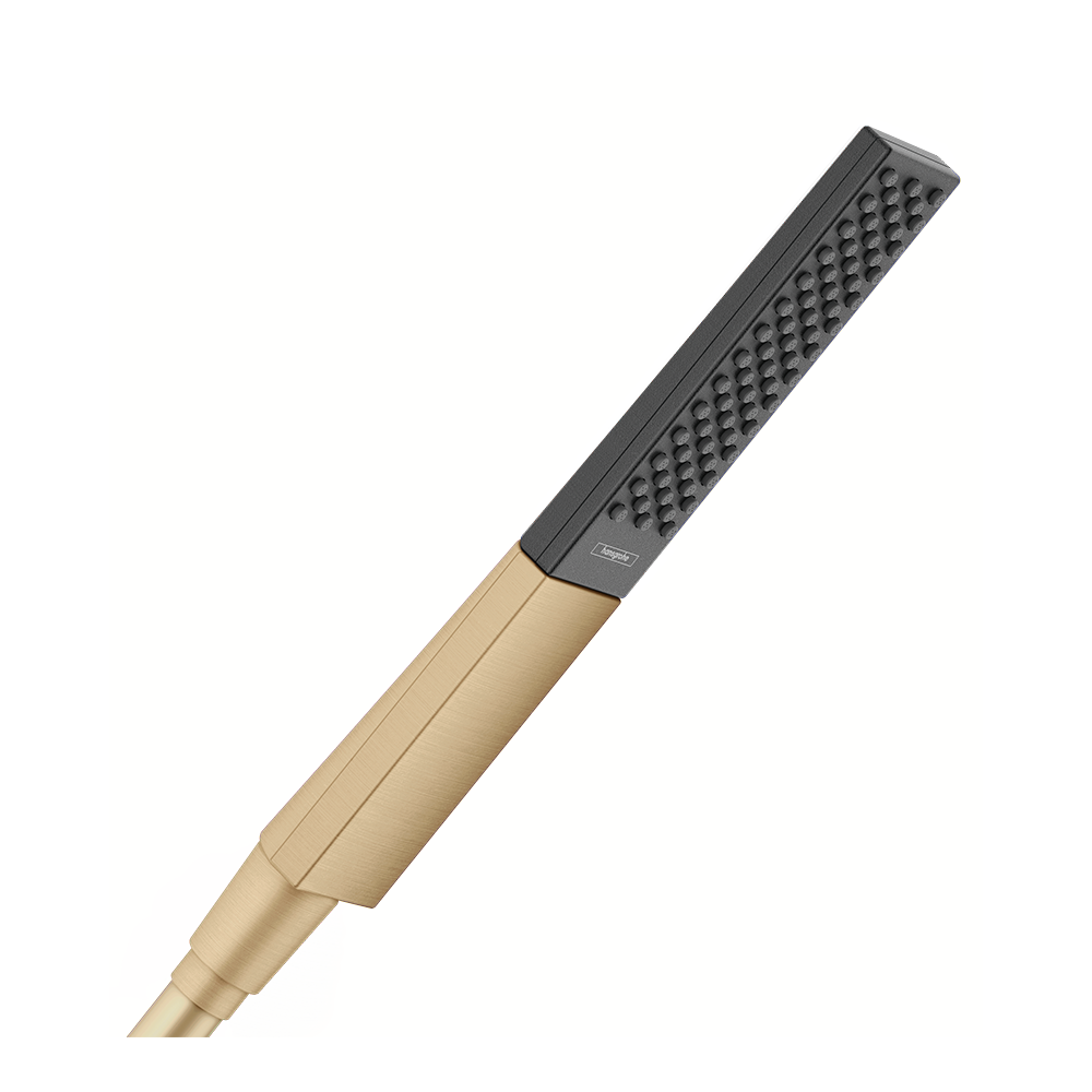 hansgrohe Rainfinity Baton Shower Handset 100 1 Spray EcoSmart, Brushed Bronze
