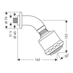 hansgrohe Clubmaster Fixed Shower Head 85 3 Spray with shower arm, Chrome