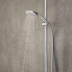 hansgrohe Croma 100 Shower Handset Vario EcoSmart, Chrome