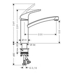 Hansgrohe Hg Focus Kitchen Mixer