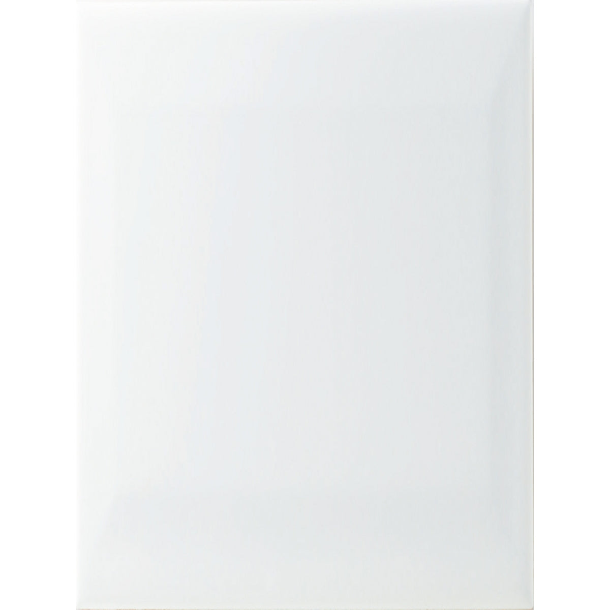 Johnson Tiles Bevel White Gloss Ceramic Tile 100 x 200mm Pack of 50