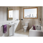 Roca Debba Close Coupled Toilet Pick Up Pack White