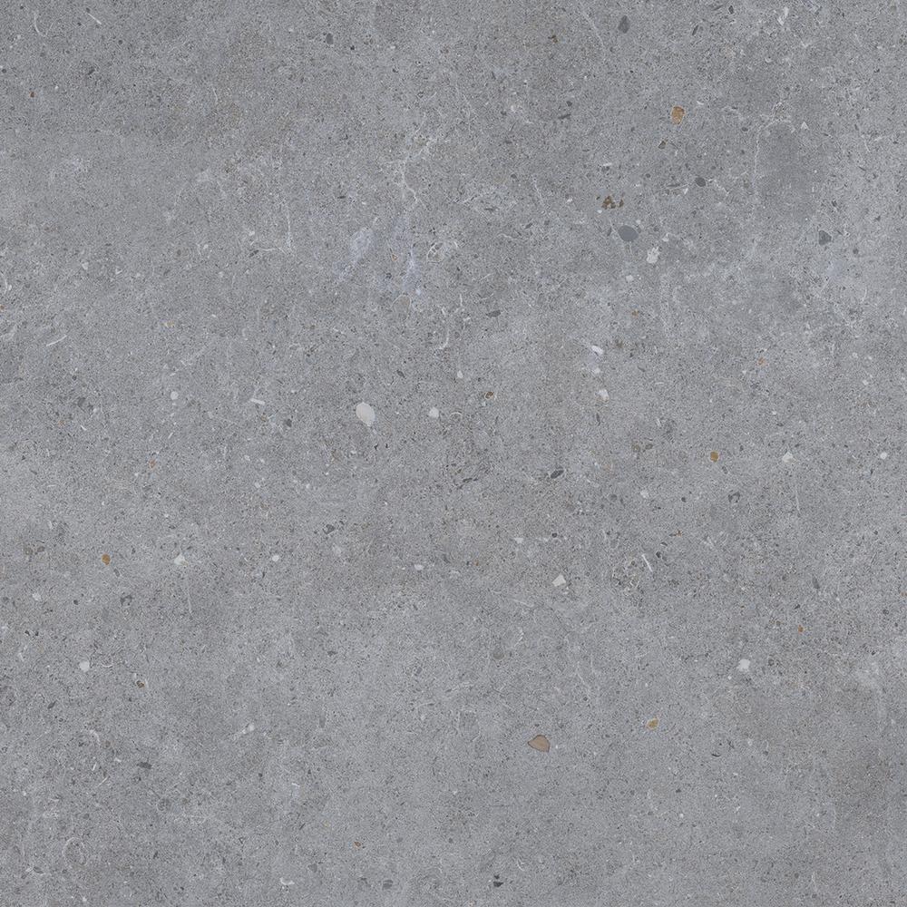 Verona Summer Light Grey Matt Porcelain W&F 600x600mm Pk/4