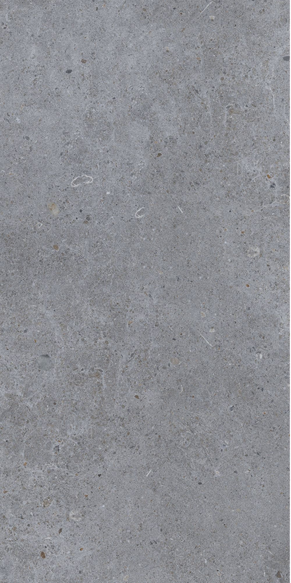 Verona Summer Light Grey Matt Porcelain W&F 300x600mm Pk/7