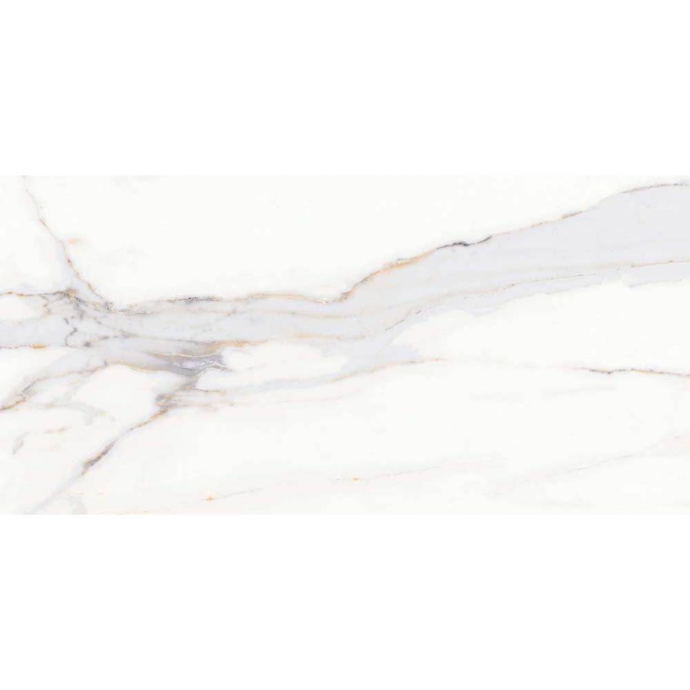 Verona Holme Glazed Polished Porcelain 300x600mm Pk/6