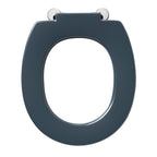 Armitage Shanks Contour 21 toilet seat only with top fixing hinges and retaining buffers, charcoal
