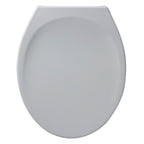 Armitage Shanks Astra seat & cover